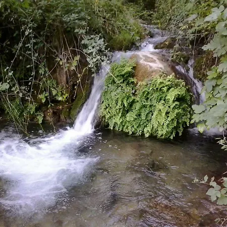 Lodge Turisticos *